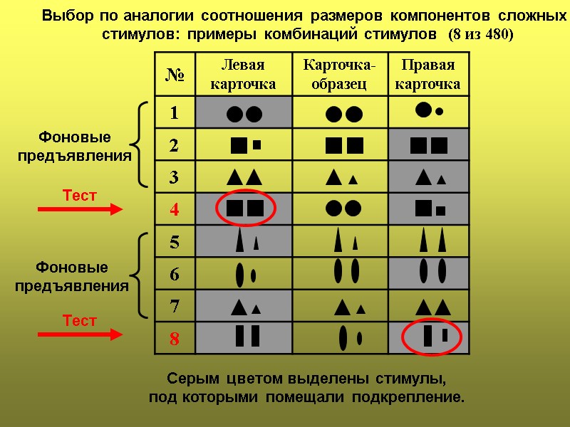 Выбор по аналогии соотношения размеров компонентов сложных  стимулов: примеры комбинаций стимулов  (8